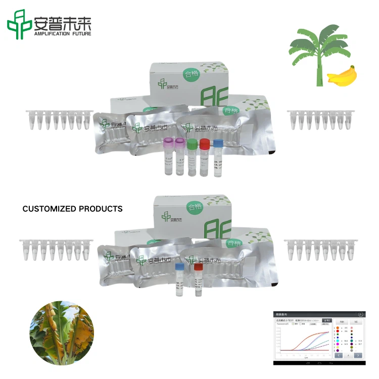 MIRA Banana Fusarium Wilt Race 4 Nucleic Acid Test Strip Detection Kit