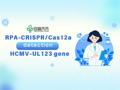 RPA-CRISPR/Cas12a kimutatás HCMV-UL123 gén alapján: A klinikai kimutatási mód...